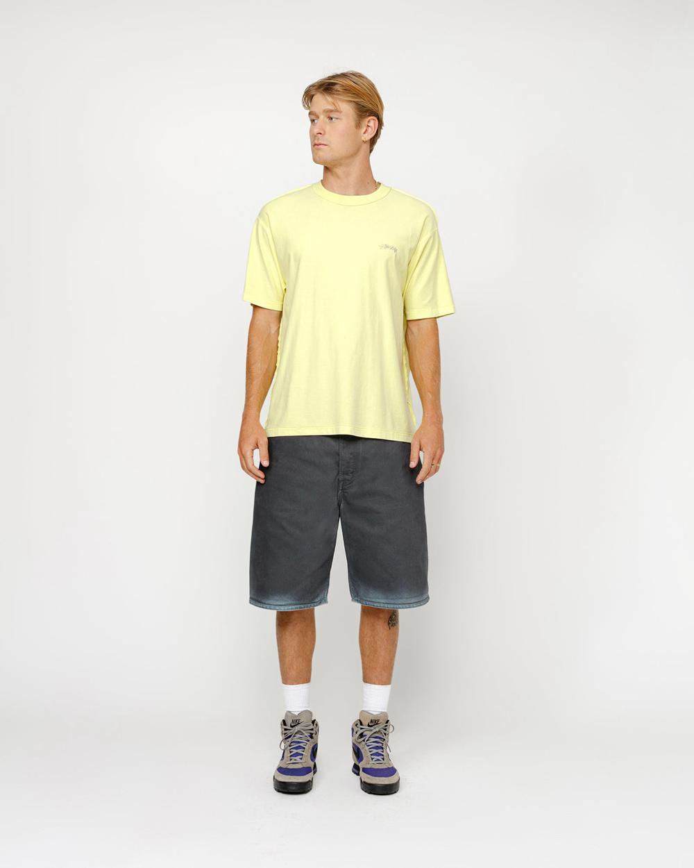 Short Stussy Big Ol' Spray Dye Bleu  France |  72964-TQWB