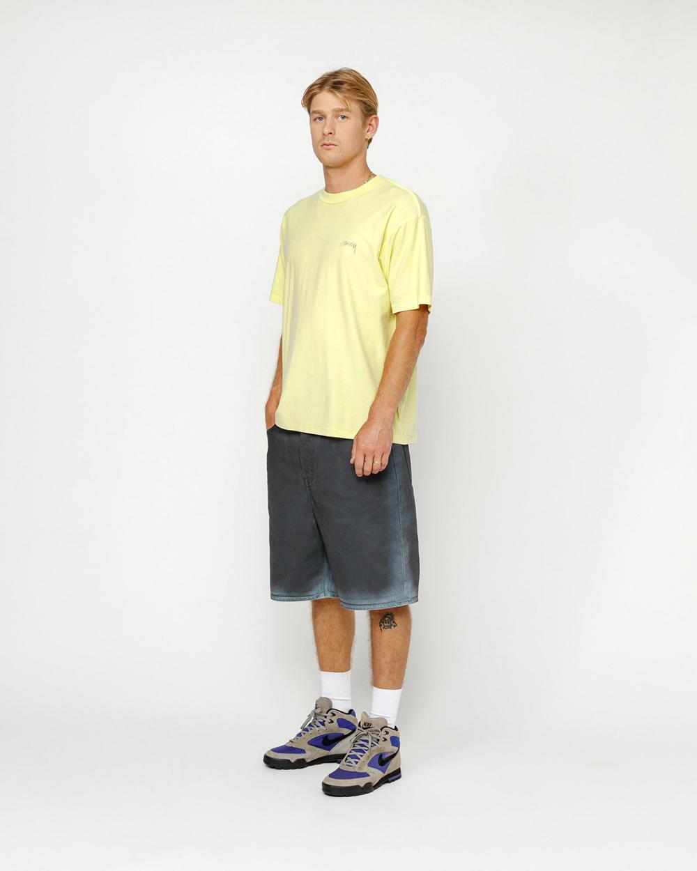 Short Stussy Big Ol' Spray Dye Bleu  France |  72964-TQWB