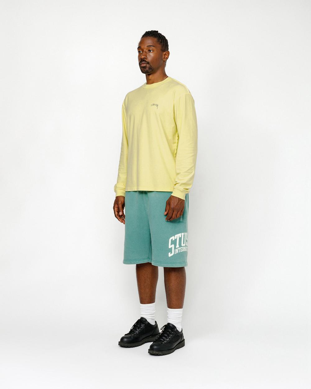 Short Stussy Fleece International Bleu  France |  84519-IFLQ