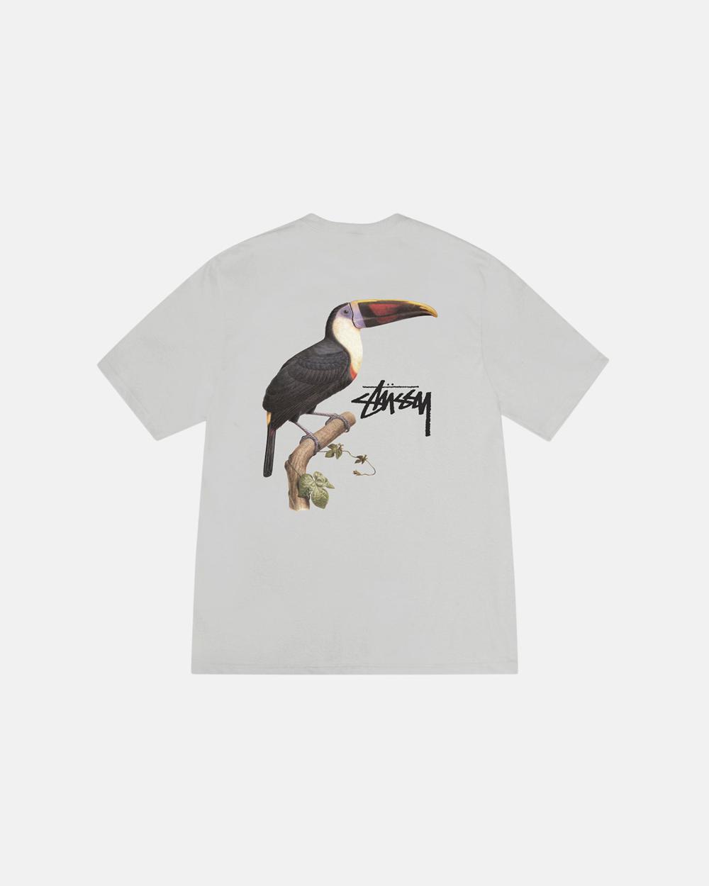 T-Shirt Stussy Toucan Grise  France |  26198-TQGU