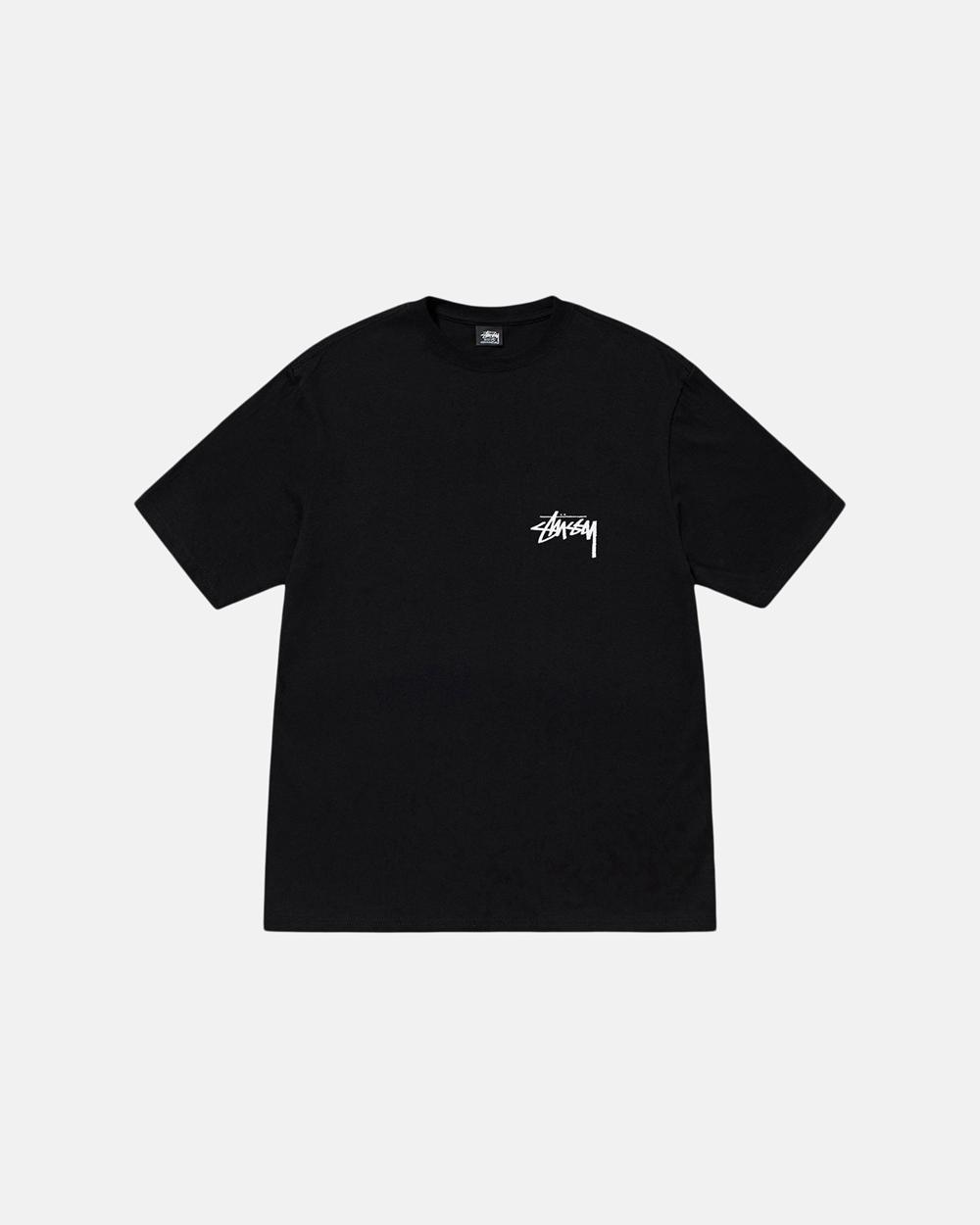 T-Shirt Stussy Toucan Noir  France |  68209-PEAB